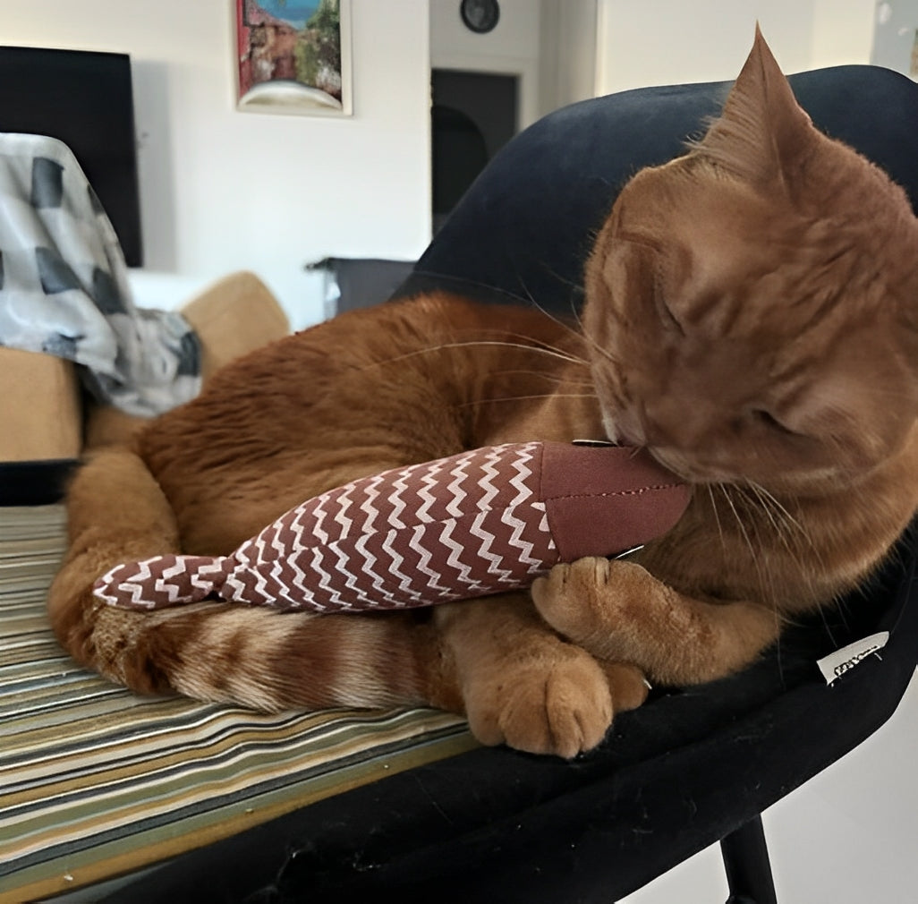 Cat play with pet-safe catnip toy which is designed for kittens - Customer review photo