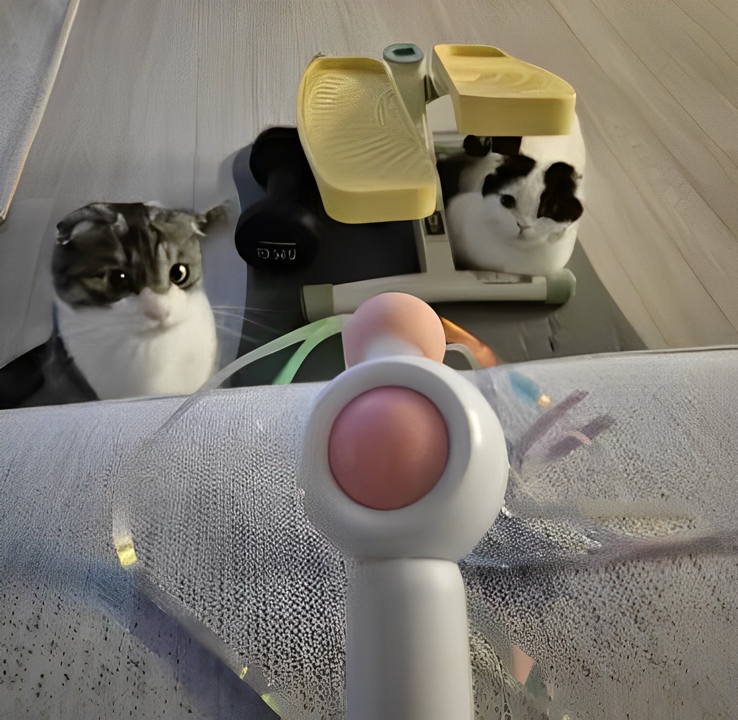 Cats play with interactive cat teaser toy with lace - Customer review photo