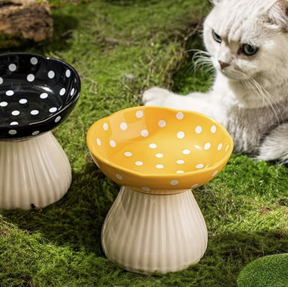 tilted pet feeder for flat-faced cats