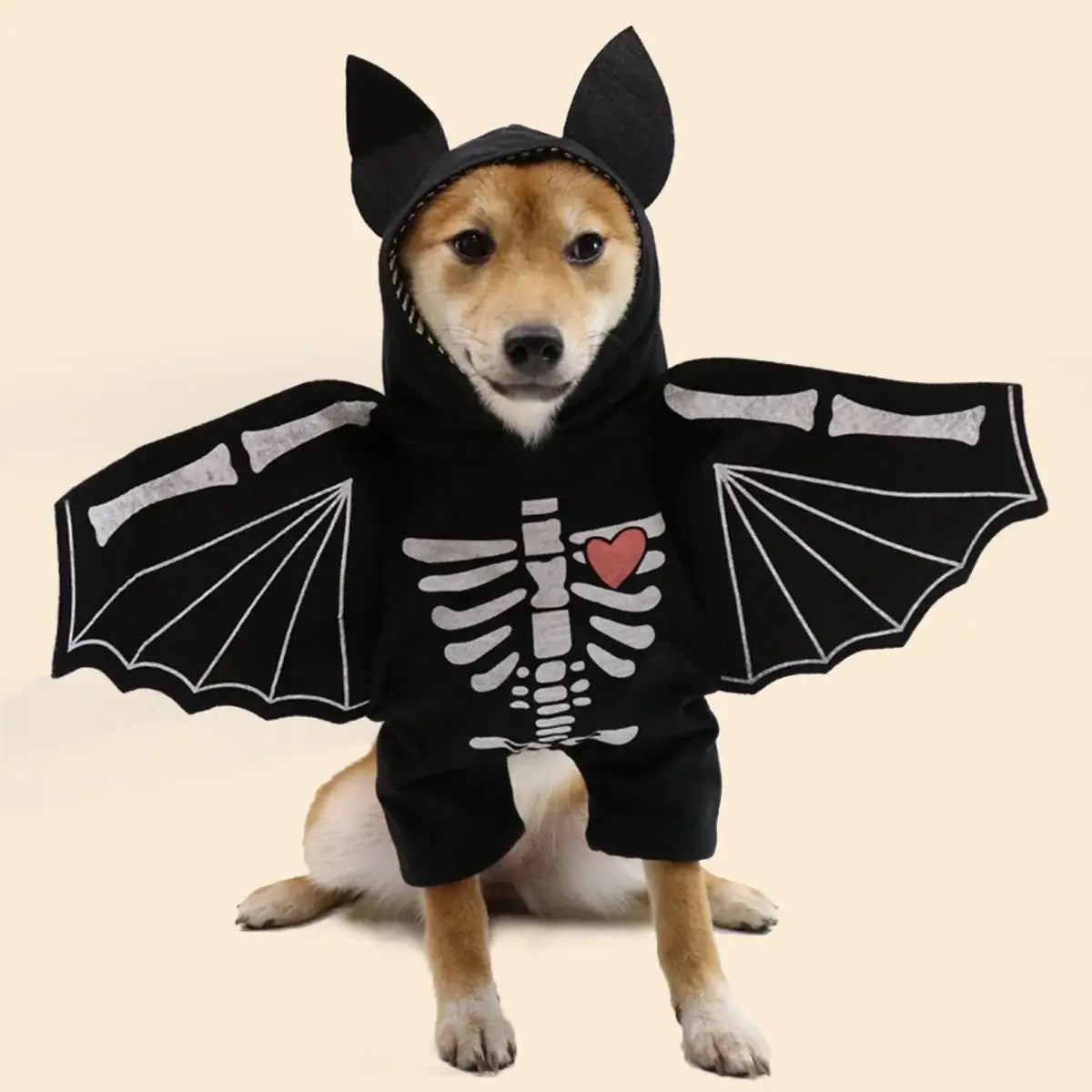 Dog wearing Halloween bat wings costume for small, medium, and large dogs