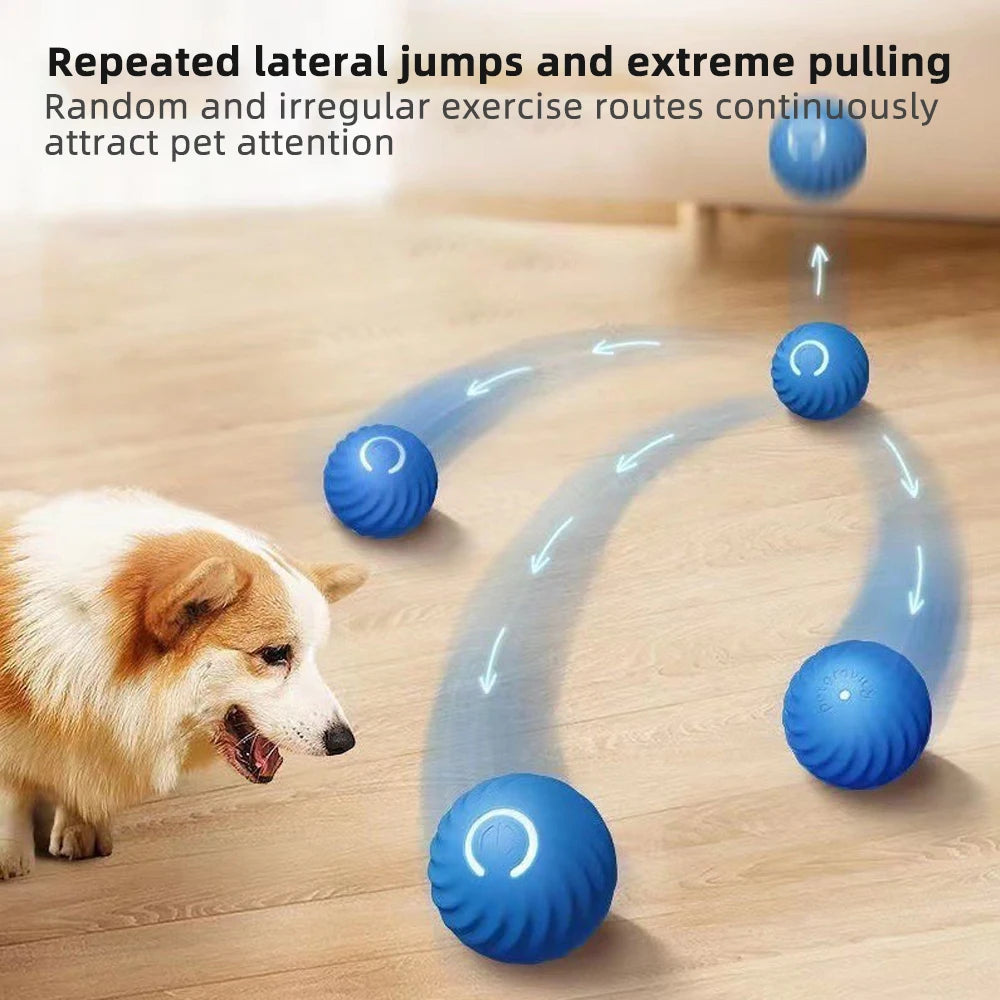 Interactive smart pet toy ball for dogs and cats with gravity sensor and automatic movement