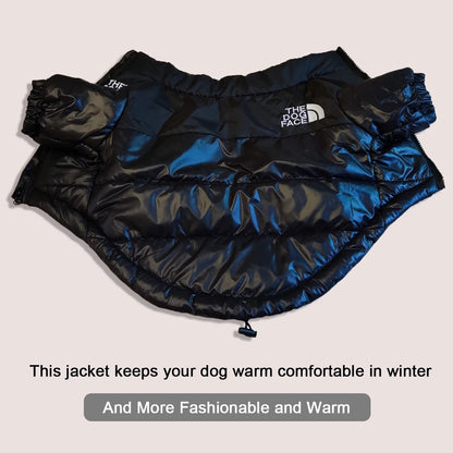 Reflective winter dog jacket for French Bulldogs and Chihuahuas