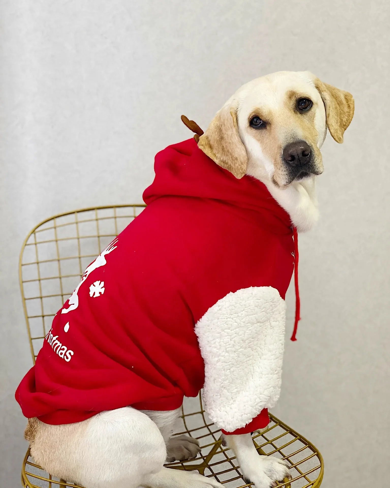 Festive Christmas Fawn Sweatshirt for large dogs, warm cotton fleece winter outfit for Golden Retrievers and Labradors.