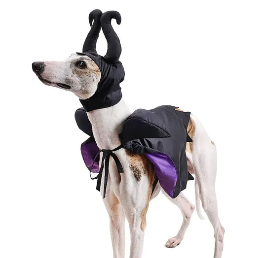 Maleficent-inspired Halloween cape and hat set for dogs and cats, perfect for spooky celebrations.
