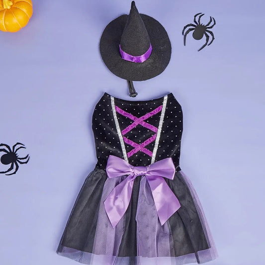 Small dog wearing a velvet Halloween dress with a matching witch hat, posing adorably for a festive photo.