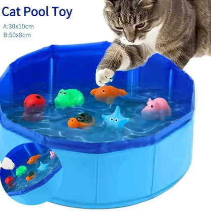 Pet playing in a water pool with floating toys for summer fun