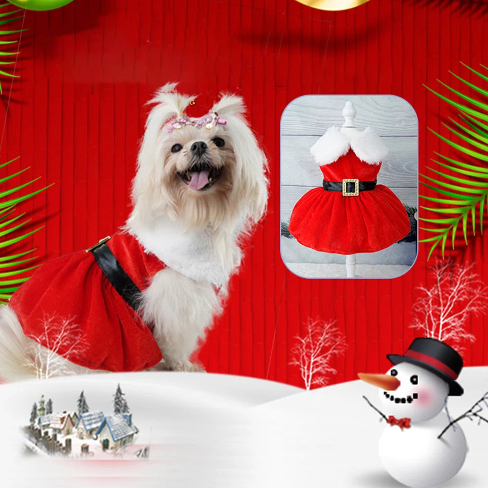 Festive Christmas dress for small dogs and cats, featuring a red skirt and glittering belt for holiday celebrations.