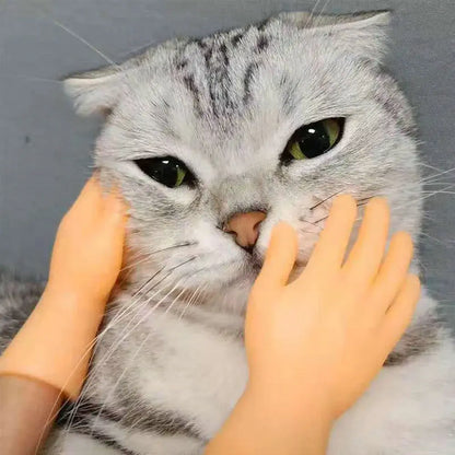 Mini hand finger sleeves massaging a cat with soft silicone gloves.