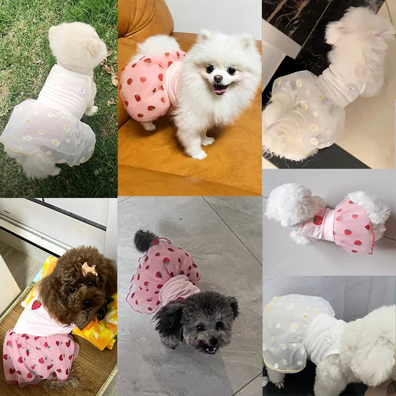 Cute strawberry daisy pattern dog dress, princess summer skirt for small pets, lightweight and comfortable for small dogs and cats.