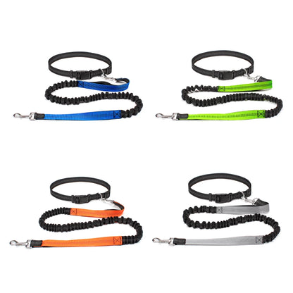 Hands-free dog leash with adjustable waist belt and dual-bungee shock absorber, designed for jogging and running with dogs safely and comfortably.