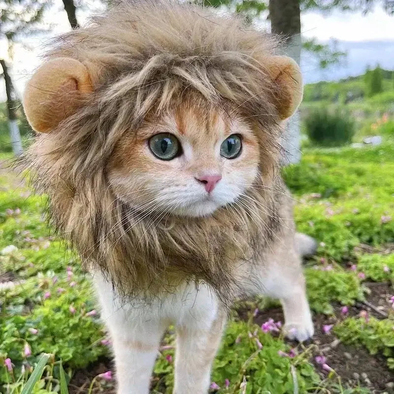 Cat Cosplay Dress Up Pet Hat Lion Mane for Halloween and Christmas decoration.