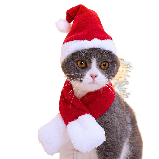 Adorable pet Christmas hat and scarf set for cats and dogs, perfect for winter celebrations.