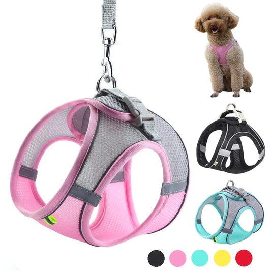 Dog harness leash set for small dogs with adjustable vest and reflective piping for safety during outdoor walks.