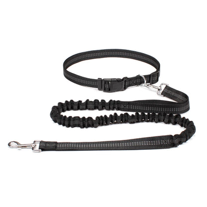 Hands-free dog leash with adjustable waist belt and dual-bungee shock absorber, designed for jogging and running with dogs safely and comfortably.