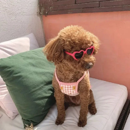 Dog wearing cute heart-shaped sunglasses for outdoor photoshoot or event
