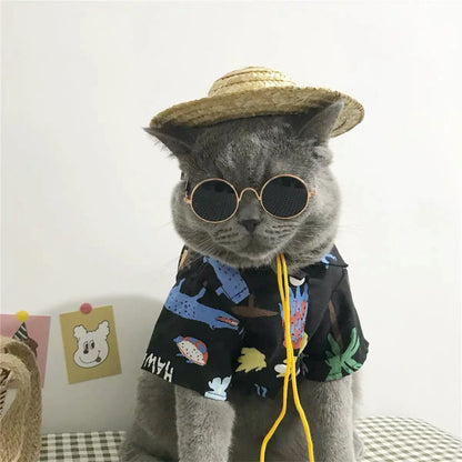 Vintage round sunglasses for cats and small dogs with reflective lenses