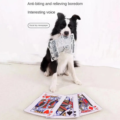 Tearproof dog squeaky toy designed like newspapers and playing cards, ideal for small to medium dogs with durable and fun design.