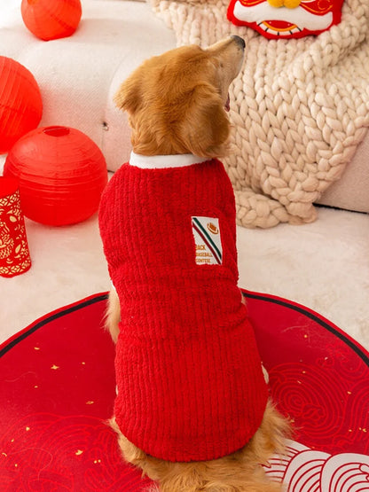 Large dog wearing red Christmas sweater for winter and holiday celebrations