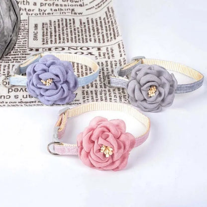 Adjustable bow tie pet collar with floral accent for cats and small dogs