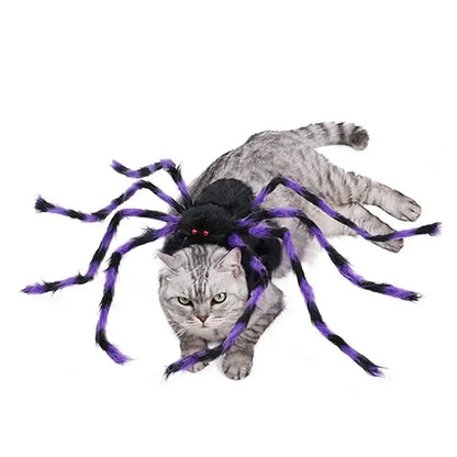 Dog wearing a giant plush spider costume for Halloween with funny, spooky legs.