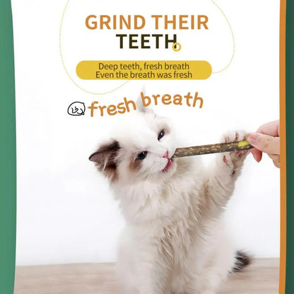 Natural cat mint sticks for chewing and dental care in cats