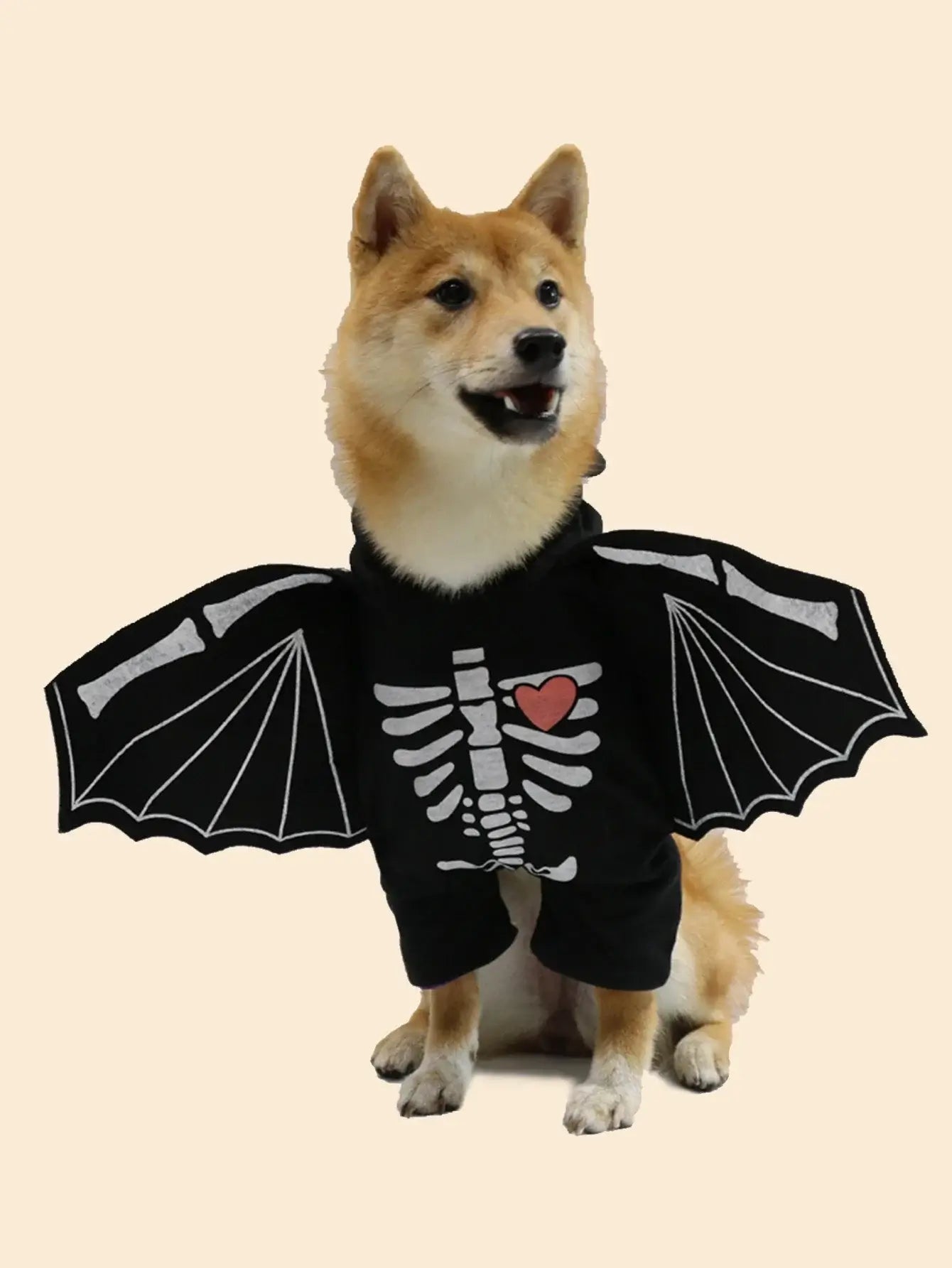 Dog wearing Halloween bat wings costume for small, medium, and large dogs