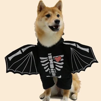 Dog wearing black bat wings costume, posing for Halloween in a spooky setting.