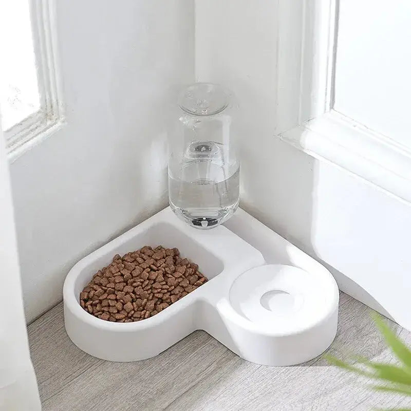 Double dog and cat bowl set for feeding and drinking, durable pet-safe materials, stylish design, easy to clean for small dogs and cats.
