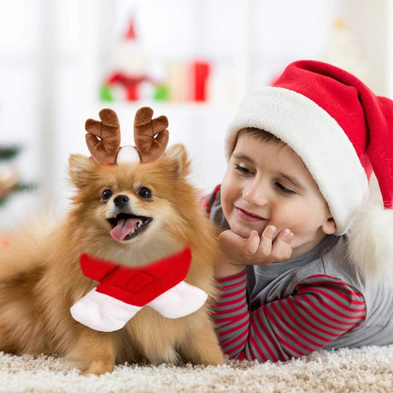 Cat Christmas costume set with reindeer antlers, Santa hat, red scarf, and pet cloak for holiday celebrations.