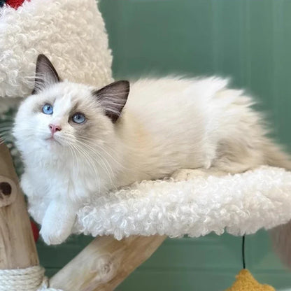 Christmas-themed American cat tree with climbing wall and sisal scratching posts