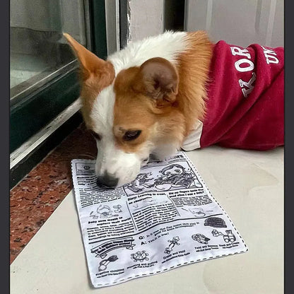 Tearproof dog squeaky toy designed like newspapers and playing cards, ideal for small to medium dogs with durable and fun design.