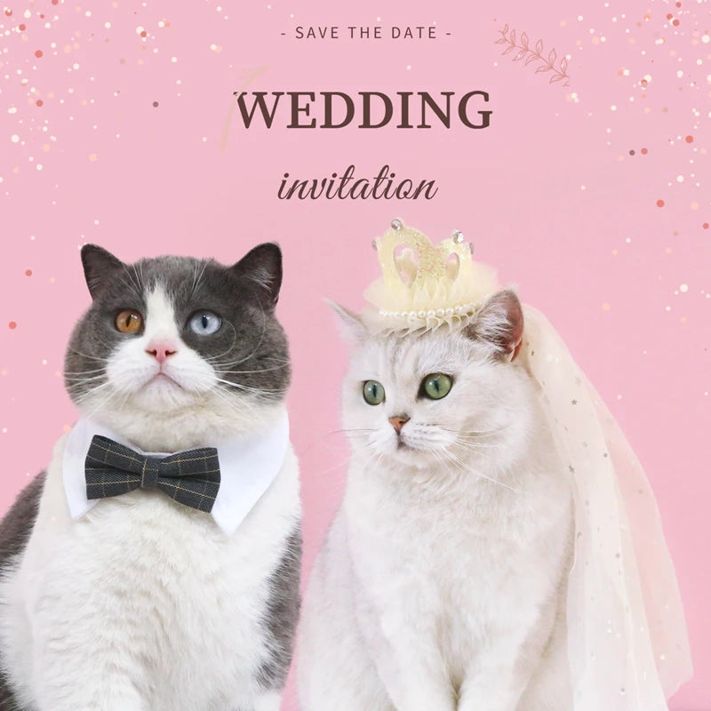 Pet wedding crown with veil, featuring lace, sequins, and pearls – bridal headdress for cats and small dogs