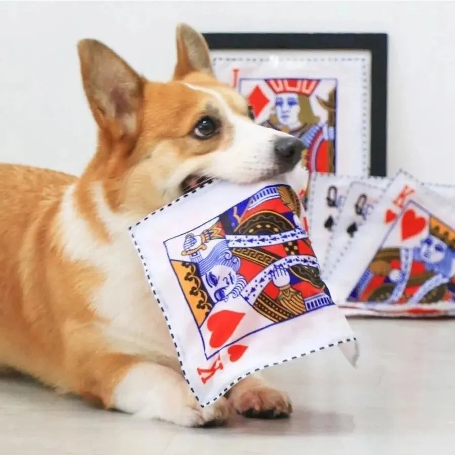 The Pet Paradise | Tearproof Dog Squeaky Toy - Simulated Squeaking Newspaper and Playing Card, Teeth Resistant Interactive Toy for Puppies, Corgis, and Small Dogs