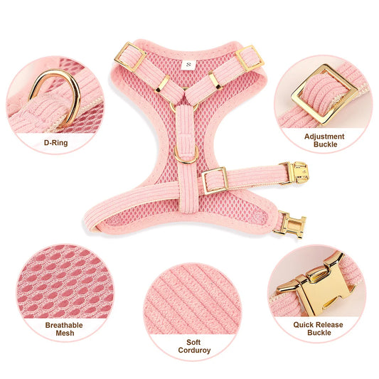 Cute bowknot dog collar harness leash set with bowtie, adjustable and soft for small and medium dogs, perfect for outdoor walking.