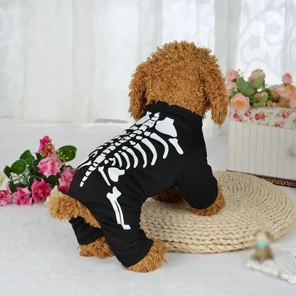 Small dog wearing a Halloween skeleton costume jumpsuit.