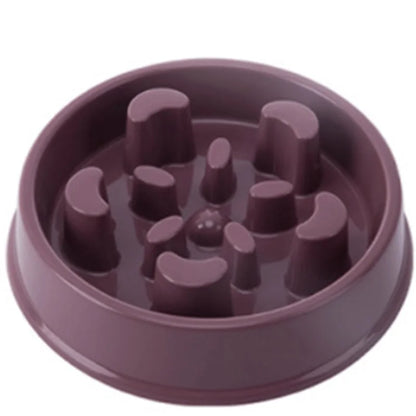 Pet Slow Food Bowl with raised obstacles to promote slower and safer eating for cats and dogs