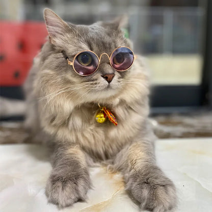 Vintage round sunglasses for cats and small dogs with reflective lenses