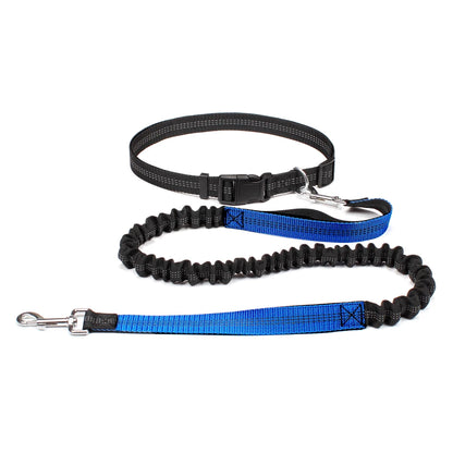 Hands-free dog leash with adjustable waist belt and dual-bungee shock absorber, designed for jogging and running with dogs safely and comfortably.
