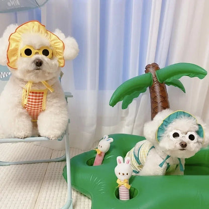 Dog wearing cute heart-shaped sunglasses for outdoor photoshoot or event