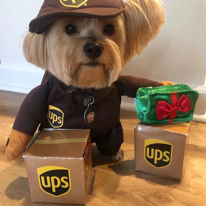 Dog dressed in a UPS courier costume with branded uniform for Halloween or party fun