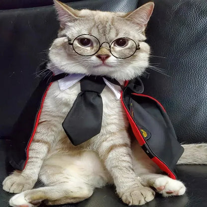 Cat wearing wizard shirt and cape inspired by Harry Potter magic academy outfit