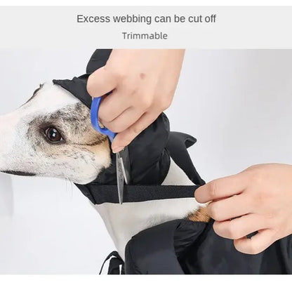 Maleficent-inspired Halloween cape and hat set for dogs and cats, perfect for spooky celebrations.