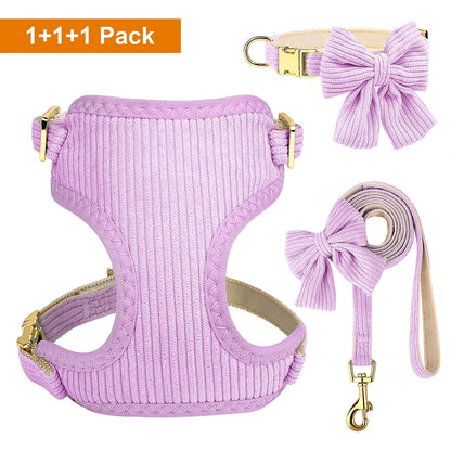 Small dog wearing cute bowtie harness with matching leash and collar