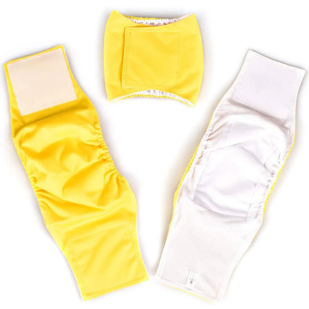 Male dog wearing washable sanitary belly wrap for training