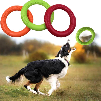 Durable EVA flying saucer chew ring for dogs that floats and promotes active outdoor play
