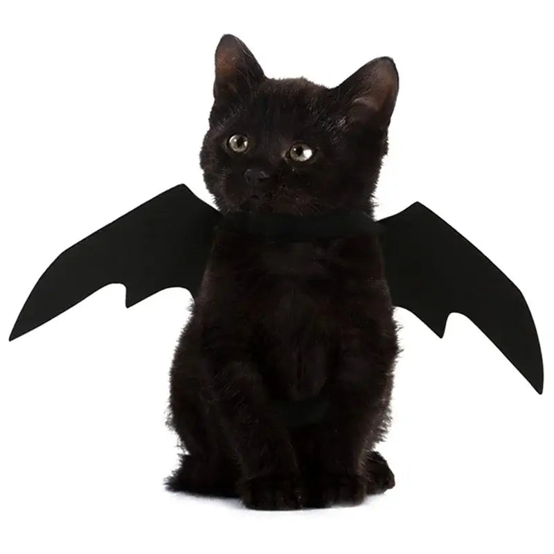 Cute black bat wings harness costume for pets, perfect for Halloween and cosplay, suitable for both cats and dogs.