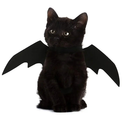 Black Bat Wings Harness Costume for cats and dogs, perfect for Halloween parties and festive occasions.