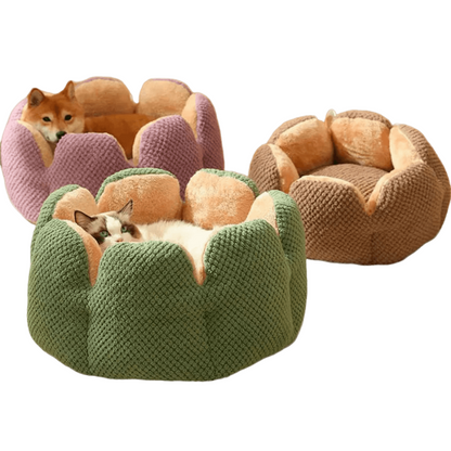 Small cat sleeping in a soft round plush pet bed with striped design