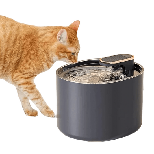 3L automatic cat water fountain with dual outlets and quiet motor for continuous hydration.