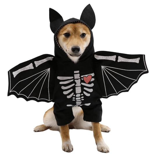 Dog wearing Halloween bat wings costume for small, medium, and large dogs